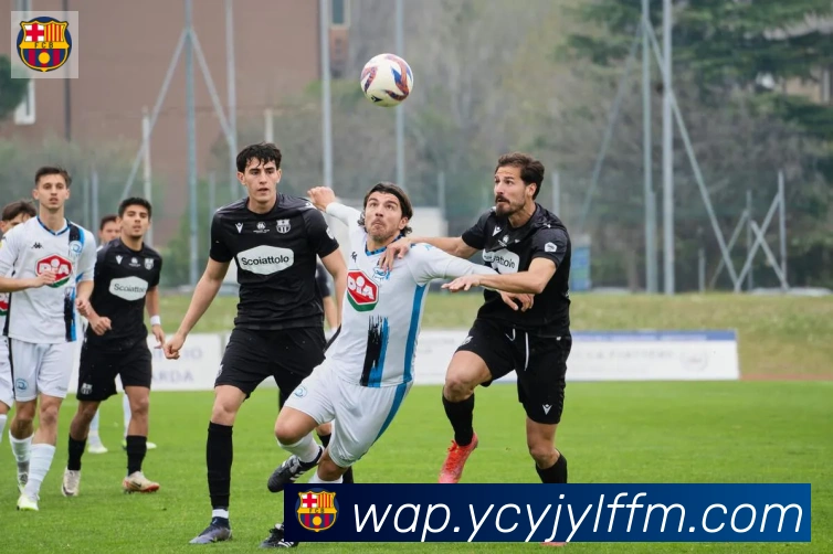 华体在线登录官网平台生态图