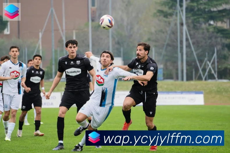 华体在线登录官网品牌故事