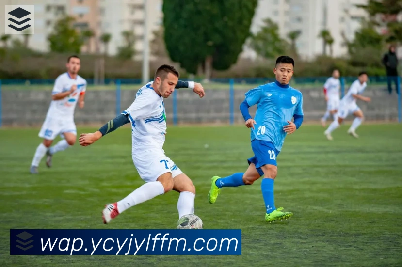 华体在线登录官网APP 高清赛事图