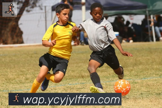 华体在线登录官网荣誉