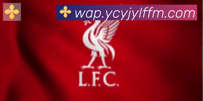 华体在线登录官网合作伙伴